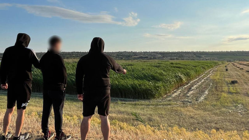 Trei tineri ucraineni, prinși în timp ce traversau ilegal frontiera