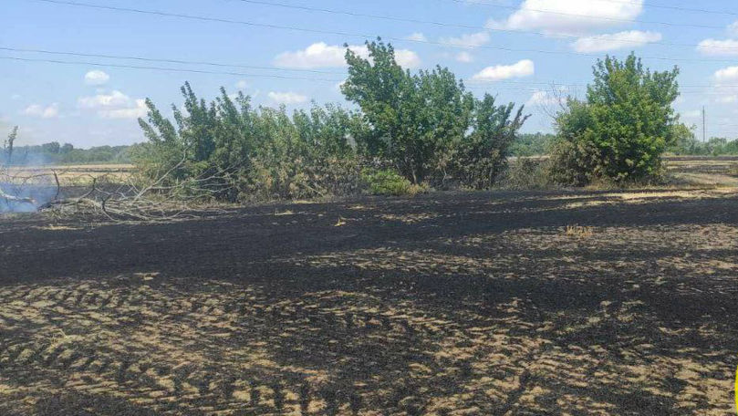 Incendii de vegetație în stânga Nistrului: Un câmp cu grâu, afectat
