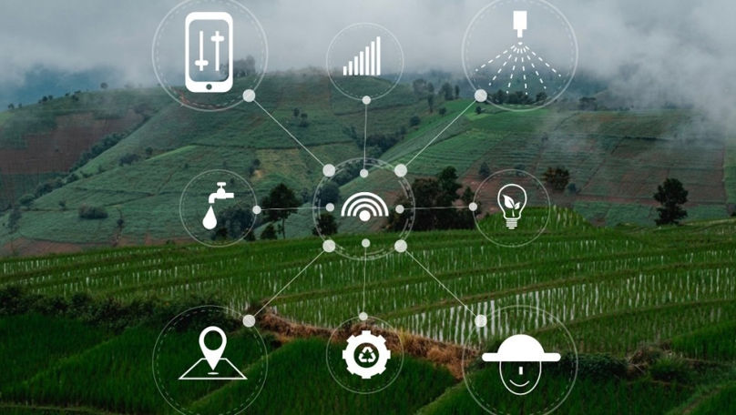 În Moldova va fi creat primul parc dedicat inovațiilor în agricultură