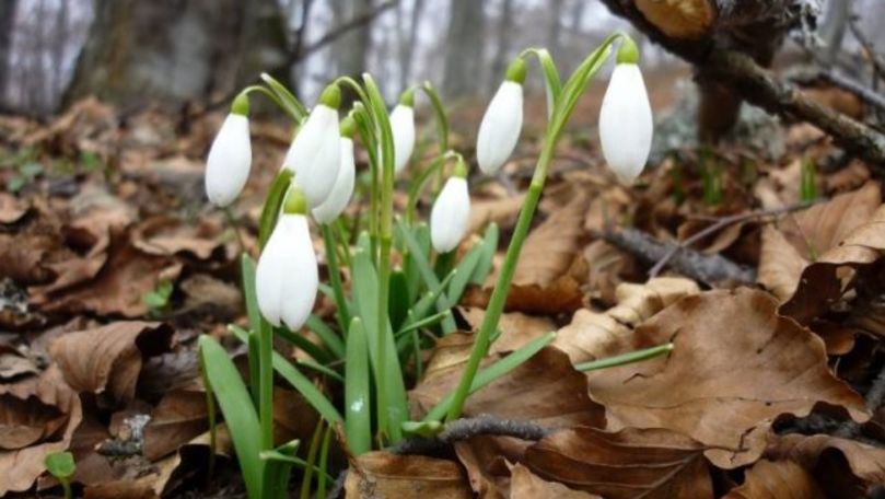 Meteo 3 aprilie 2021: Ploi slabe și maxime de +15 grade