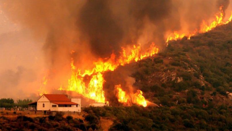 Suedia: Incendiile de pădure fac ravagii. Toţi pompierii, mobilizaţi