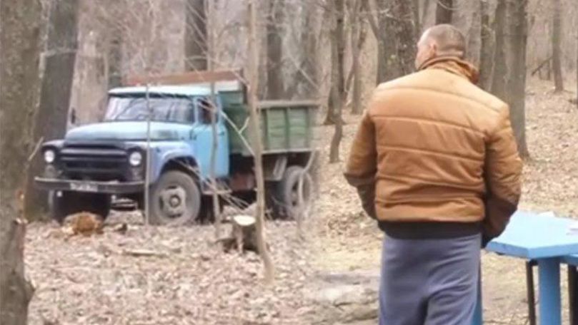 Bărbat, prins într-un parc din Drochia cum taie ilegal copaci