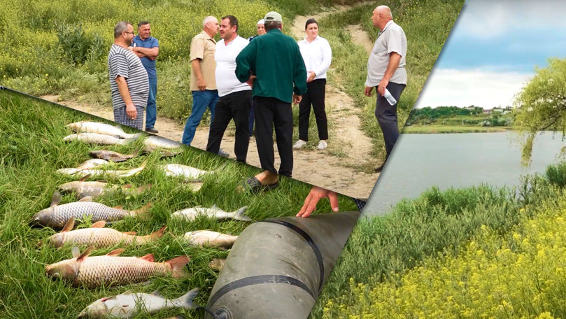 Sute de kilograme de pește mort la Mărculești: Localnicii sunt panicați