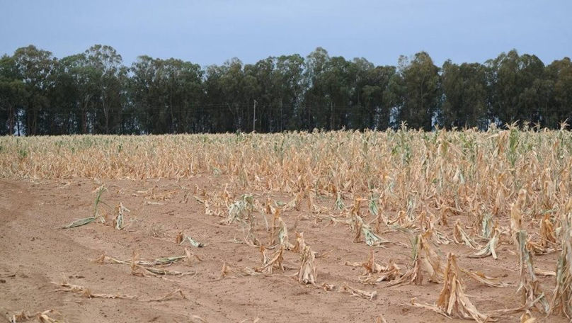 Care sunt provocările grave ale agriculturii din Republica Moldova