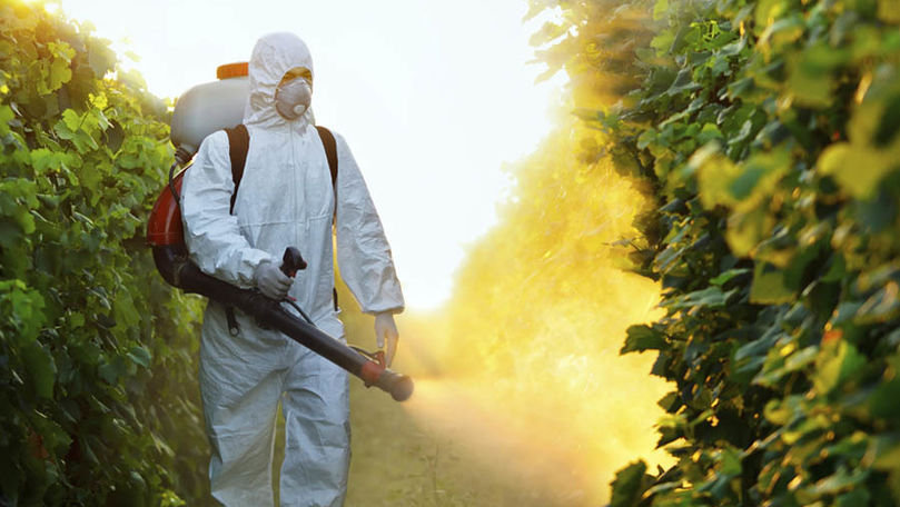 ANSP: Daţi prioritate sănătăţii, utilizaţi raţional pesticidele