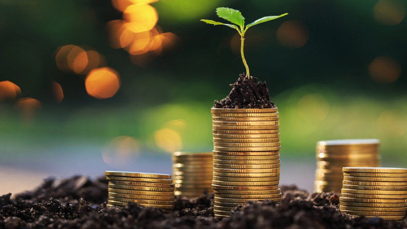 Catlabuga: Discutăm ca să îmbunătățim condițiile de microcreditare