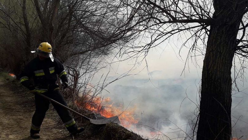Rezervația Prutul de Jos, în făcări: Pompierii au luptat 12 ore cu focul