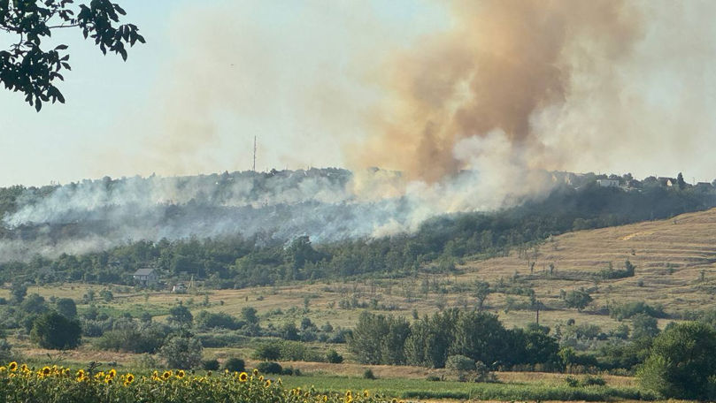 Incendiu masiv la Anenii Noi: Arde o pădure
