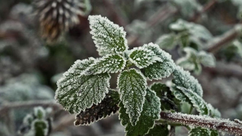 Vara cu temperaturi de iarnă: Mai multe zone din România au înghețat