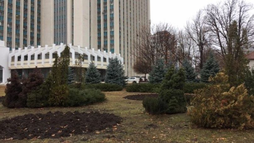 Зеленые насаждения у здания суда в центре Кишинева могут вырубить.