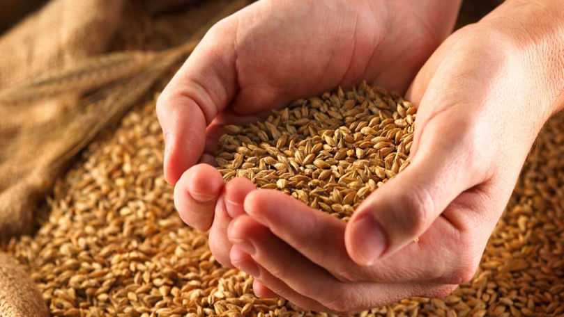 Forța Fermierilor: 150 de tone de semințe, donate agricultorilor din sud