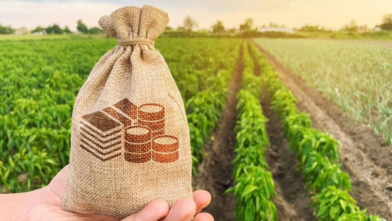Noi promisiuni de ajutor pentru agricultorii afectaţi de secetă