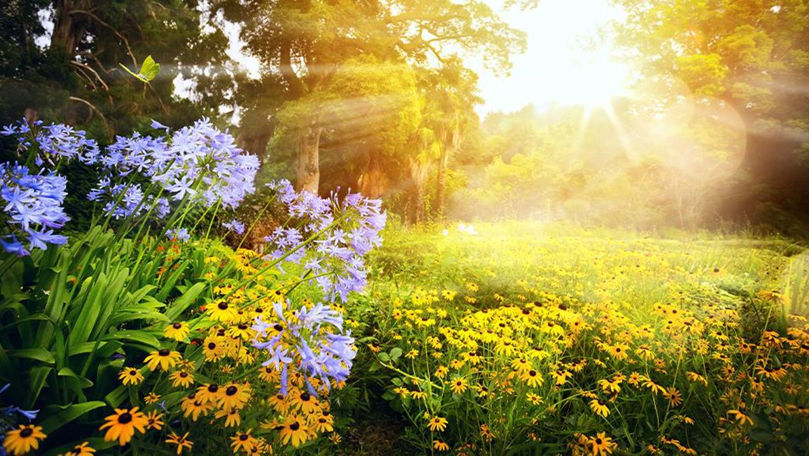 Meteo 9 august: Cer variabil și temperaturi caniculare în țară