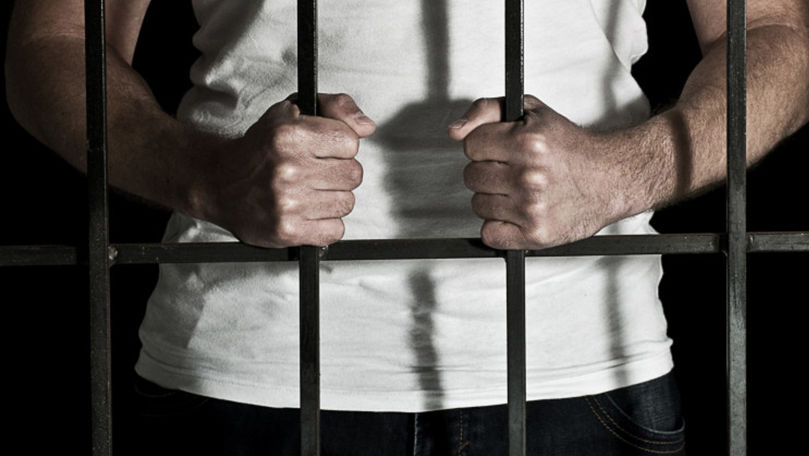 Bărbatul care a ucis un cal târându-l cu mașina, condamnat la închisoare
