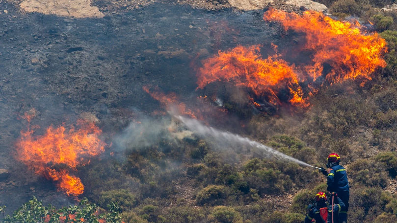 Grecia: Sute de pompieri se luptă cu un incendiu de pădure uriaș