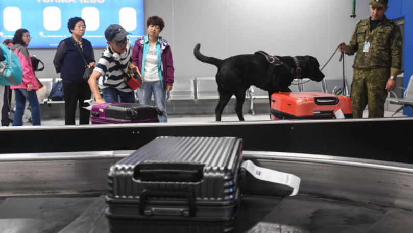 Descoperire uluitoare într-un bagaj de la Aeroportul Hong Kong