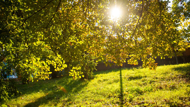 В Молдове неделя начинается с прохладного по сезону осеннего дня. Фото Point.md.