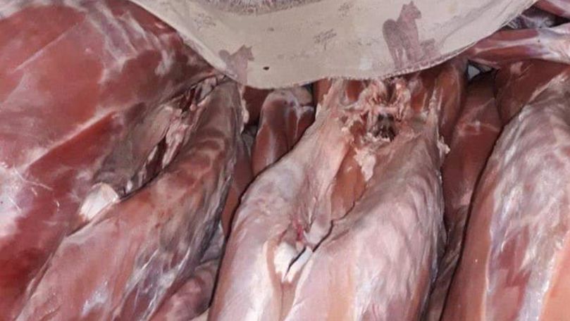 Circa 800 de kg de carne de bovină, confiscată de INP