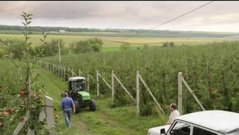 Subvenții de peste 625 milioane de lei, acordate agricultorilor în 2018