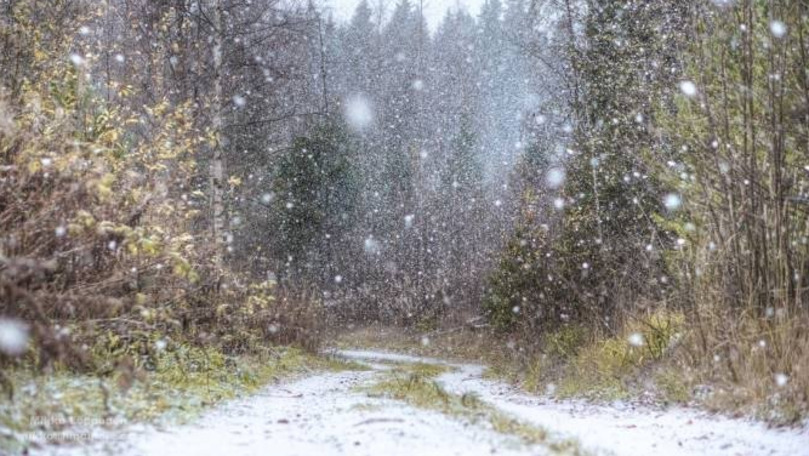 Regiunea din România unde a nins pentru prima dată în acest sezon