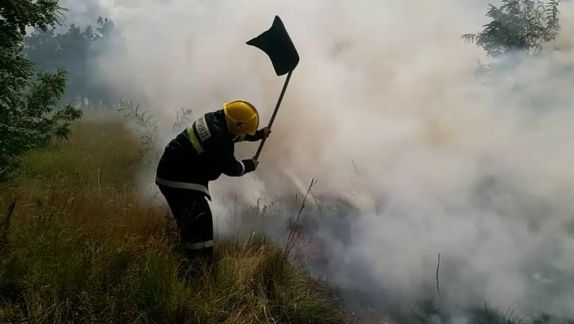 Incendiu de pădure la Cahul: Șase echipe de pompieri au intervenit