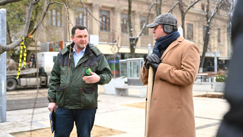 Arborii din scuarul Mihai Eminescu, înlocuiți. Ceban a plantat tei