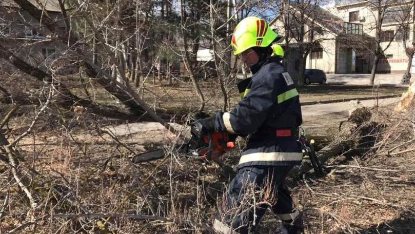 Bilanțul furtunii: Copaci doborâți, case fără acoperișuri și lumină