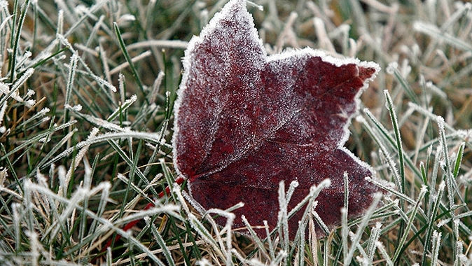 Cod Galben: Primele înghețuri din această toamnă. Temperaturi prognozate