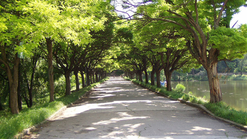 În Parcul Râșcani va fi amenajat un Teatru Verde