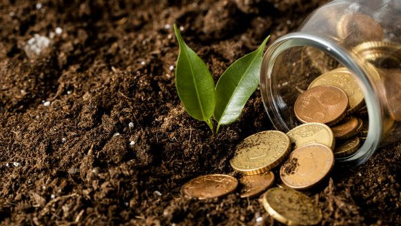 Investiții în agricultură în sudul țării: Milioane de dolari, alocate