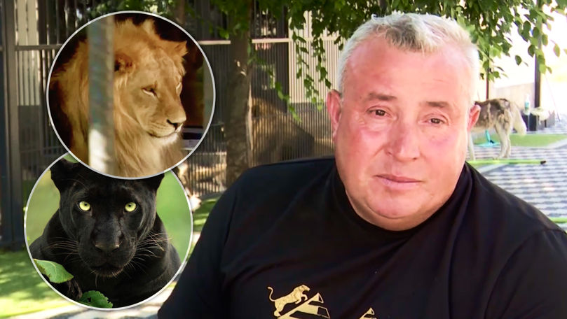 Trei lei, o panteră și 150 de câini: Ce animale are Vasile Mereuță