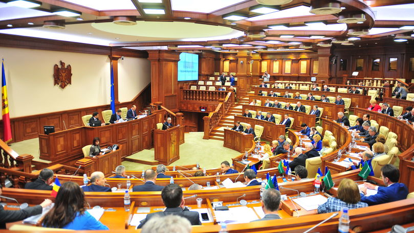 Принимается парламентом. Парламент женские. Парламентское большинство.