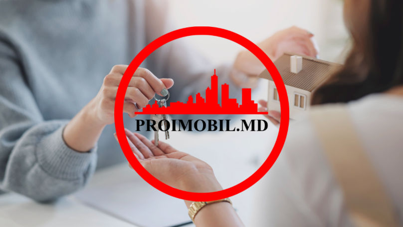 Directorul ProImobil: 2024, an bun din punct de vedere imobiliar Ⓟ