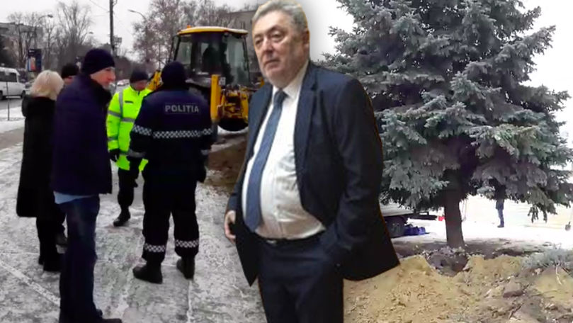 По решению Грозаву елку из центра Рышкановки пересадят на Чеканах.