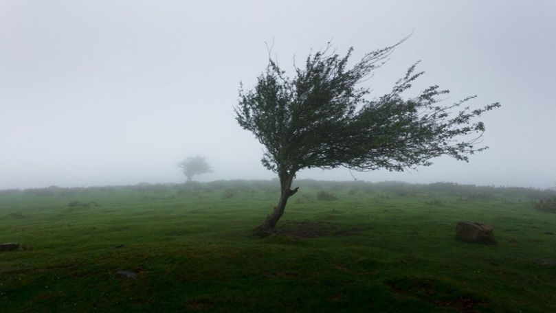 Avertizare meteorologică: Cod Galben de vânt puternic în toată țara