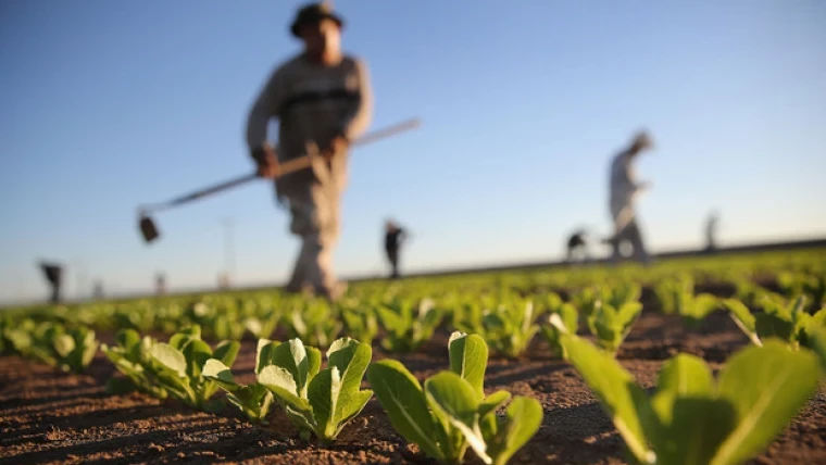 300 de fermieri vor primi ajutor financiar de circa 210 milioane de lei