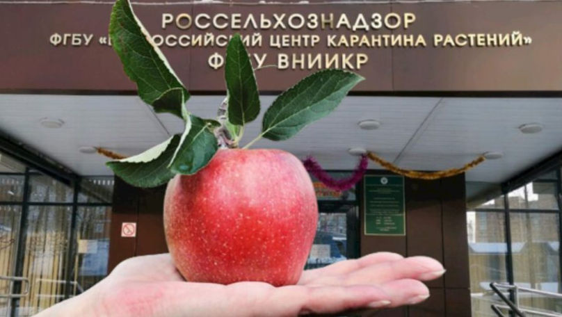 Rusia interzice de astăzi importul de produse vegetale din Moldova