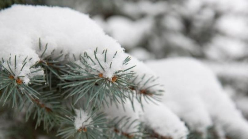 Iarna din ultima zi a lunii martie: Ninge în România, Ucraina și Rusia