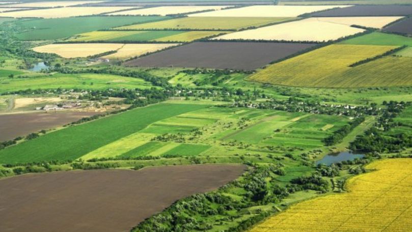 R. Moldova are peste 2,2 milioane de hectare de terenuri agricole