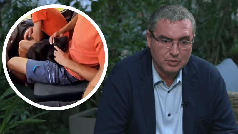Pisica maltratată la Drochia: Renato Usatîi cere pedepse mai aspre