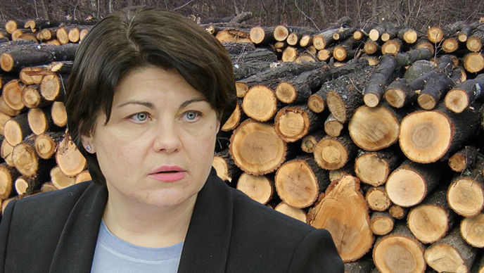 Guvernul va compensa cheltuielile de aprovizionare cu lemne a populației
