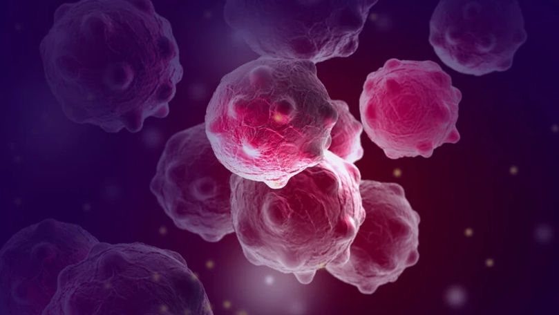 Savanții au aflat cheia care ar putea stopa dezvoltarea cancerului