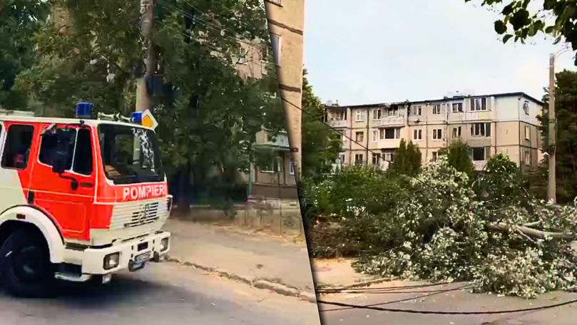 Un copac a căzut peste firele electrice. Salvatorii au intervenit