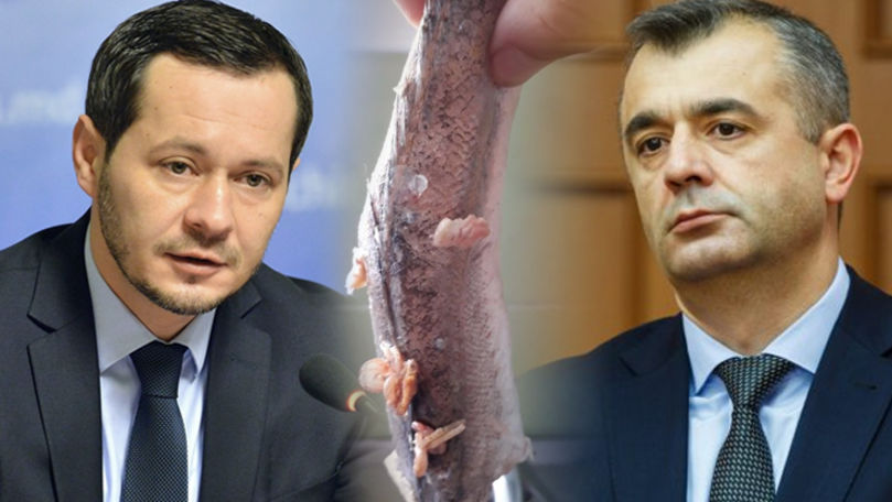 Pește cu viermi în grădinițe: Chicu îl acuză pe ex-primarul Codreanu