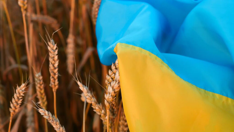 ONU: Primele exporturi de grâu ucrainean, aşteptate săptămâna viitoare
