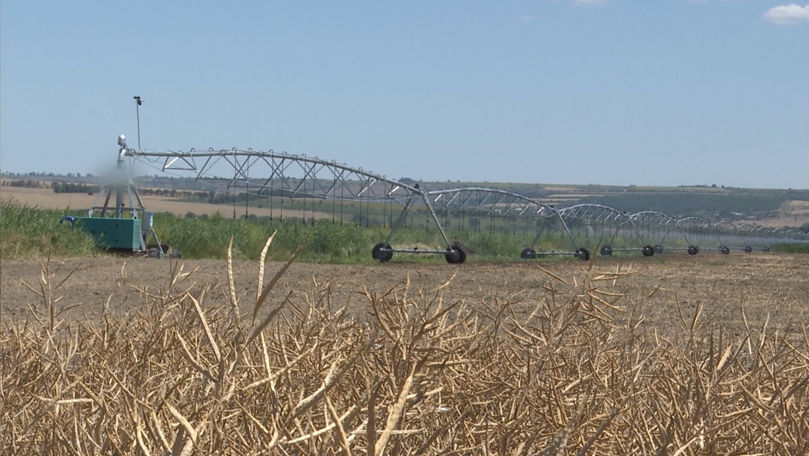 Agricultură modernă în condiții dificile: Exemplul a doi frați din Cahul