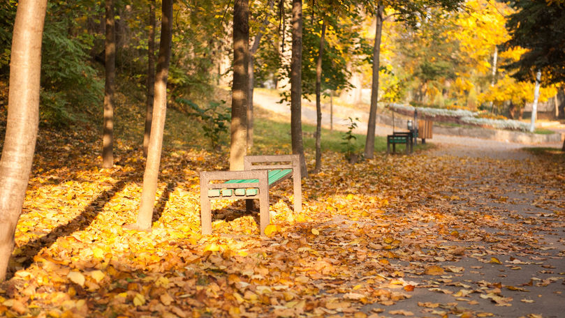 21 сентября в Молдове ожидается переменная облачность. Ветер юго-восточный, слабый до умеренного.