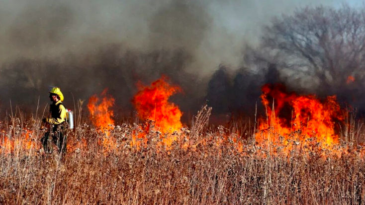 Studiu: Expunerea la incendiile de vegetație crește riscul de cancer