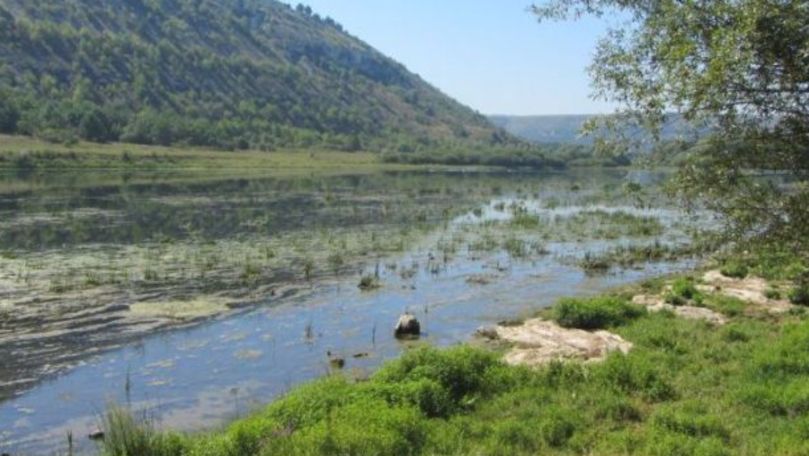 Hidrocentrale pe Nistru: Guvernul nu garantează protecţia râului