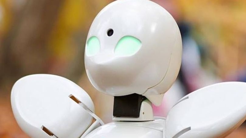 Țara în care elevii bolnavi vor putea fi înlocuiți de roboți la școală